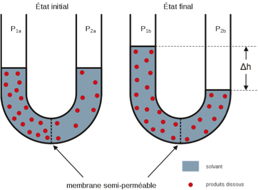 Explications osmose inverse