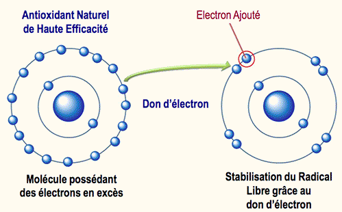 Qu'est-ce que l'eau hydrogénée ?